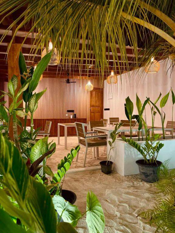Garden restaurant of Oasis Dhigurah under the palms